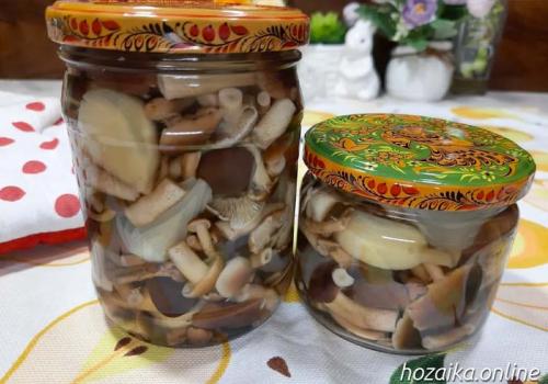 Маринованные опята с эссенцией. Маринованные опята на зиму