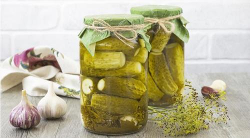 Выбираем огурцы для еды. На что обращают внимание при выборе семян огурцов? 01