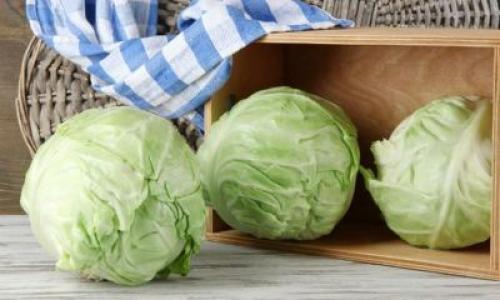 Как хранить капусту без холодильника. Особенности процесса
