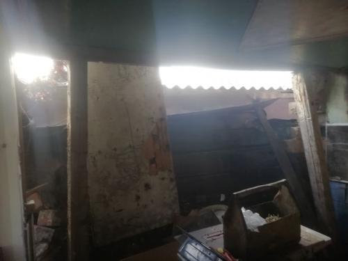 Когда краснеет девичий виноград. Все о девичьем винограде 06