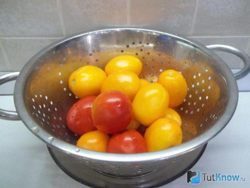 Заморозки из помидоров и петрушки: простой рецепт для зимы 05 Заморозки из помидоров и петрушки: простой рецепт для зимы 05