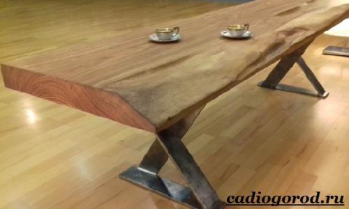 Дерево карагач в казахстане. Описание и особенности карагача