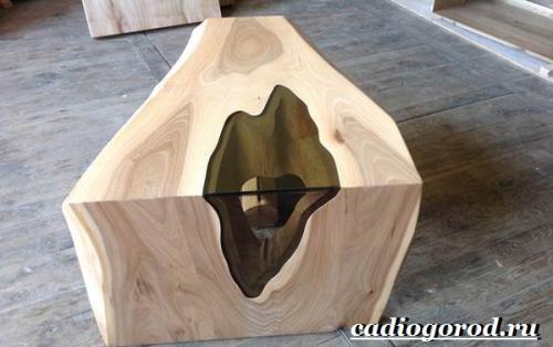 Дерево карагач в казахстане. Описание и особенности карагача