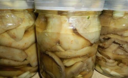 Как правильно готовить маринованные толстушки. Маринованные грузди на зиму