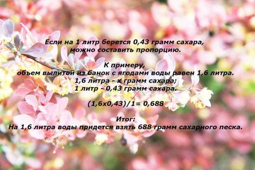 Компот из барбариса на зиму (рецепт из дикого барбариса)