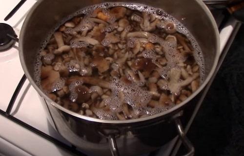 Маринованные опята с уксусом. Маринованные опята на зиму — рецепты с уксусом в банках