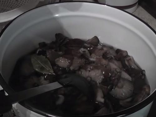 Маринованные опята под пластиковой крышкой. Как мариновать опята на зиму в банках? Простые рецепты в домашних условиях