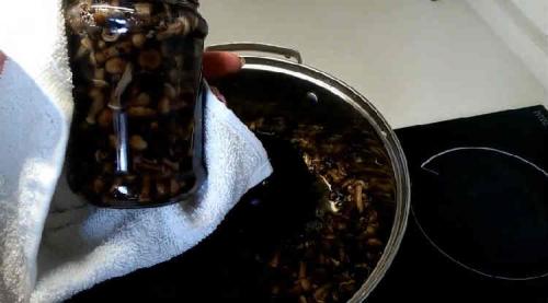 Опята маринованные магазинные. Опята маринованные на зиму — 8 рецептов