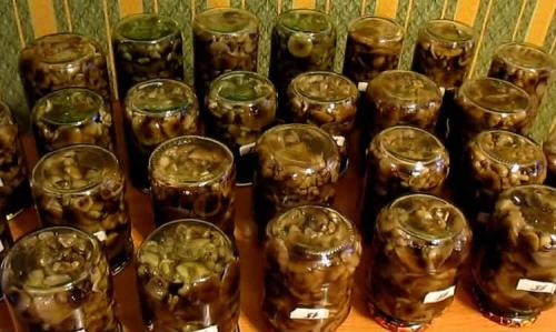 Опята маринованные магазинные. Опята маринованные на зиму — 8 рецептов