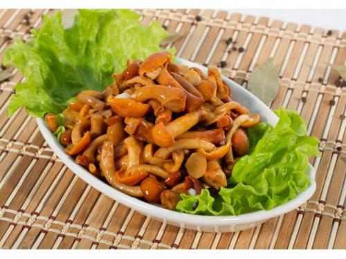 Маринованные опята под пластиковой крышкой. Как мариновать опята на зиму в банках? Простые рецепты в домашних условиях