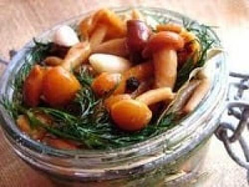 Маринованные опята с уксусом. Маринованные опята на зиму — рецепты с уксусом в банках