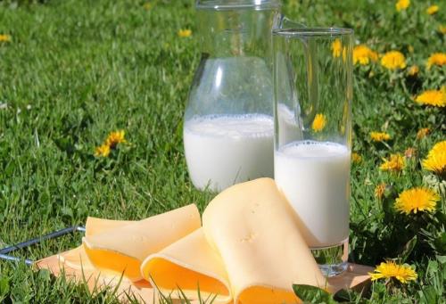 Молочные продукты список. Самый полный обзор молочных продуктов: каковы их польза и вред для человека