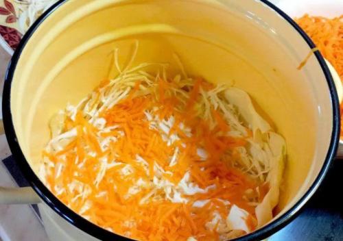 Можно ли квасить раннюю капусту. Как квасить молодую капусту в домашних условиях в банках