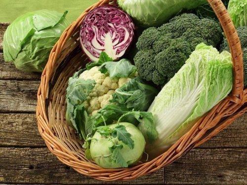 Какая капуста долго хранится. 11 лучших сортов капусты с длительным сроком хранения