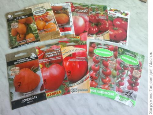 Выращивание томатов под укрывным материалом. Томаты для грядок с укрытием. Начало!