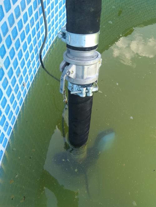 Как обеспечить оптимальный уровень аэрации почвы при выращивании чеснока на открытом воздухе. Механизированный полив 10 соток ярового чеснока за 90 минут