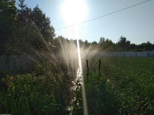 Как обеспечить оптимальный уровень аэрации почвы при выращивании чеснока на открытом воздухе. Механизированный полив 10 соток ярового чеснока за 90 минут