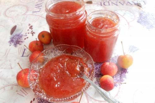 Можно ли использовать вместо яблок другие фрукты для приготовления Повидла. 15 вкуснейших рецептов Повидла из ранеток