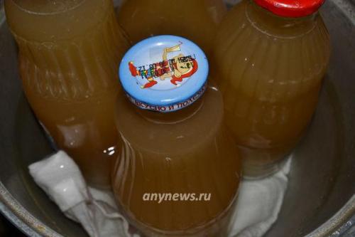 Яблочное пюре после соковарки. Яблочный сок в соковарке: рецепт в домашних условиях