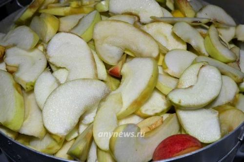 Яблочное пюре после соковарки. Яблочный сок в соковарке: рецепт в домашних условиях