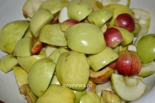 Яблочное пюре после соковарки. Яблочный сок в соковарке: рецепт в домашних условиях