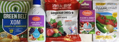 Как правильно ухаживать за малиной в течение года 10 Как правильно ухаживать за малиной в течение года 10