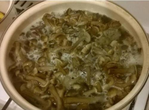 Маринад для опят на 1 литр воды. Как быстро и вкусно замариновать лесные опята — 5 простых рецептов маринованных опят на зиму