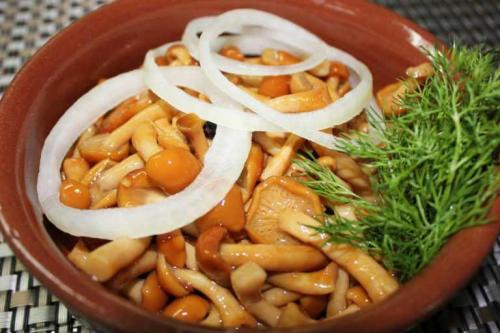 Маринад для опят на 1 литр воды. Как быстро и вкусно замариновать лесные опята — 5 простых рецептов маринованных опят на зиму