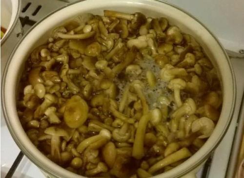 Маринад для опят на 1 литр воды. Как быстро и вкусно замариновать лесные опята — 5 простых рецептов маринованных опят на зиму