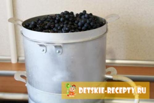 Жмых винограда после соковарки. Виноградный сок на зиму в соковарке