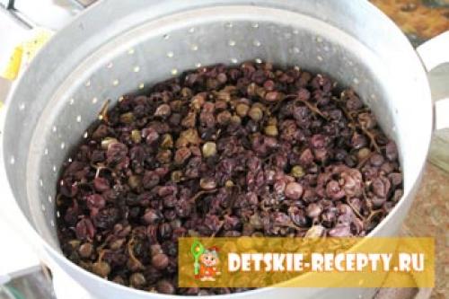 Жмых винограда после соковарки. Виноградный сок на зиму в соковарке