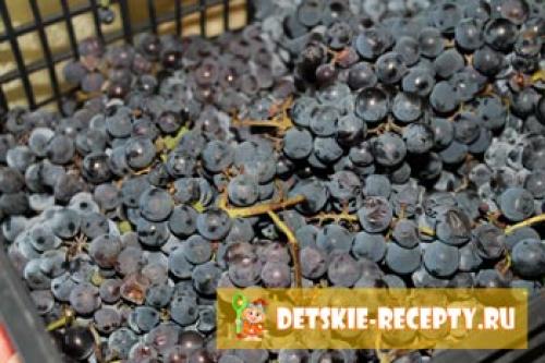 Жмых винограда после соковарки. Виноградный сок на зиму в соковарке