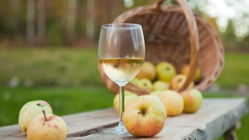 Что можно сделать из жмыха после соковарки. Домашнее вино из яблок