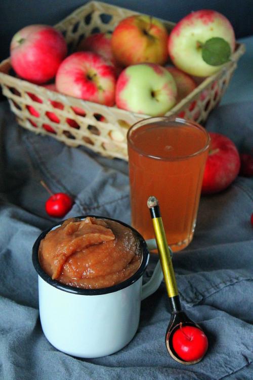 Жмых вишни после соковарки. Что приготовить из яблочного пюре после соковарки