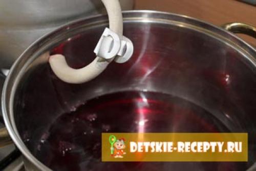 Жмых винограда после соковарки. Виноградный сок на зиму в соковарке