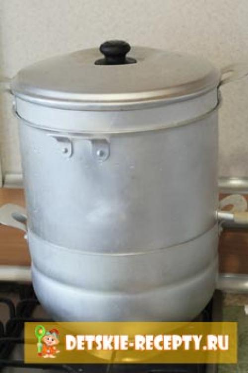 Жмых винограда после соковарки. Виноградный сок на зиму в соковарке