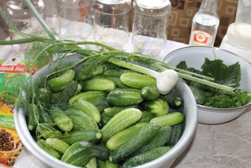 Как спасти вздутые маринованные огурцы в банках. Что могут означать помутневшие и вздувшиеся банки? 14