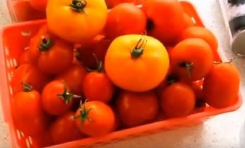 Помидоры в собственном соку кусочками. Рецепт помидор дольками в собственном соку 02