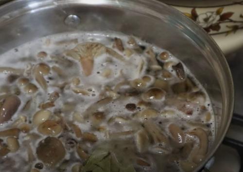 Соленые опята холодным способом. Рецепт засолки опят холодным способом 05