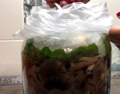 Соленые опята холодным способом. Рецепт засолки опят холодным способом 12