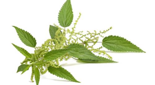 Почему мне не хотелось спать после полученных ожогов от крапивы. Перечень запретов при лечении ожогов 03