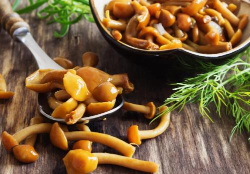 Соленые опята холодным способом. Рецепт засолки опят холодным способом 07