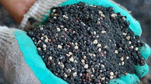 Как часто нужно подкармливать томаты в теплице летом. Правила подкормки помидоров в теплице: какие удобрения и когда использовать для получения богатого урожая