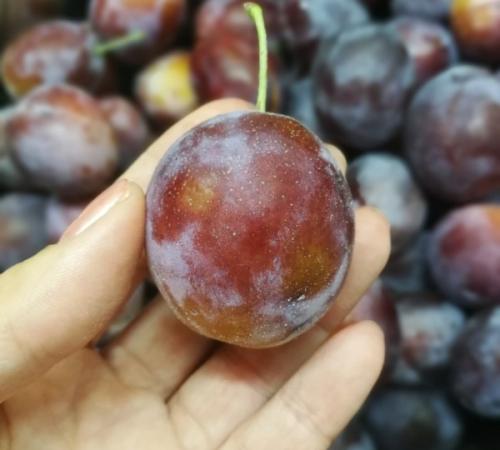 Какие факты и интересные сведения связаны с сливовым вареньем с какао порошком. Общие принципы приготовления варенья