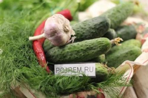Какие огурцы нельзя консервировать.