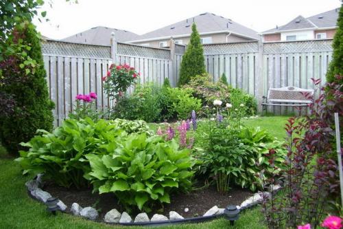 Сад хост. Любимая хоста в саду и во дворе: 60 красивых ландшафтных идей