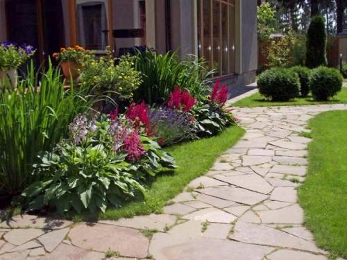 Сад хост. Любимая хоста в саду и во дворе: 60 красивых ландшафтных идей