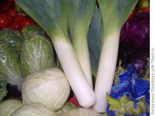 Какие виды порея имеют съедобные листья. Лук-порей – самый необычный среди луков