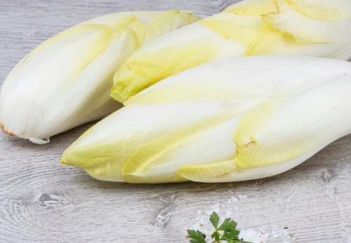 Какие сорта цикориса существуют. Эндивий