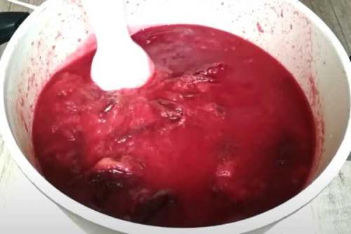 Можно ли заморозить варенье из слив в шоколаде с какао. Нутелла из слив на зиму — 4 варианта вкусного лакомства